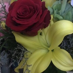 Meet your Posher, Jamie